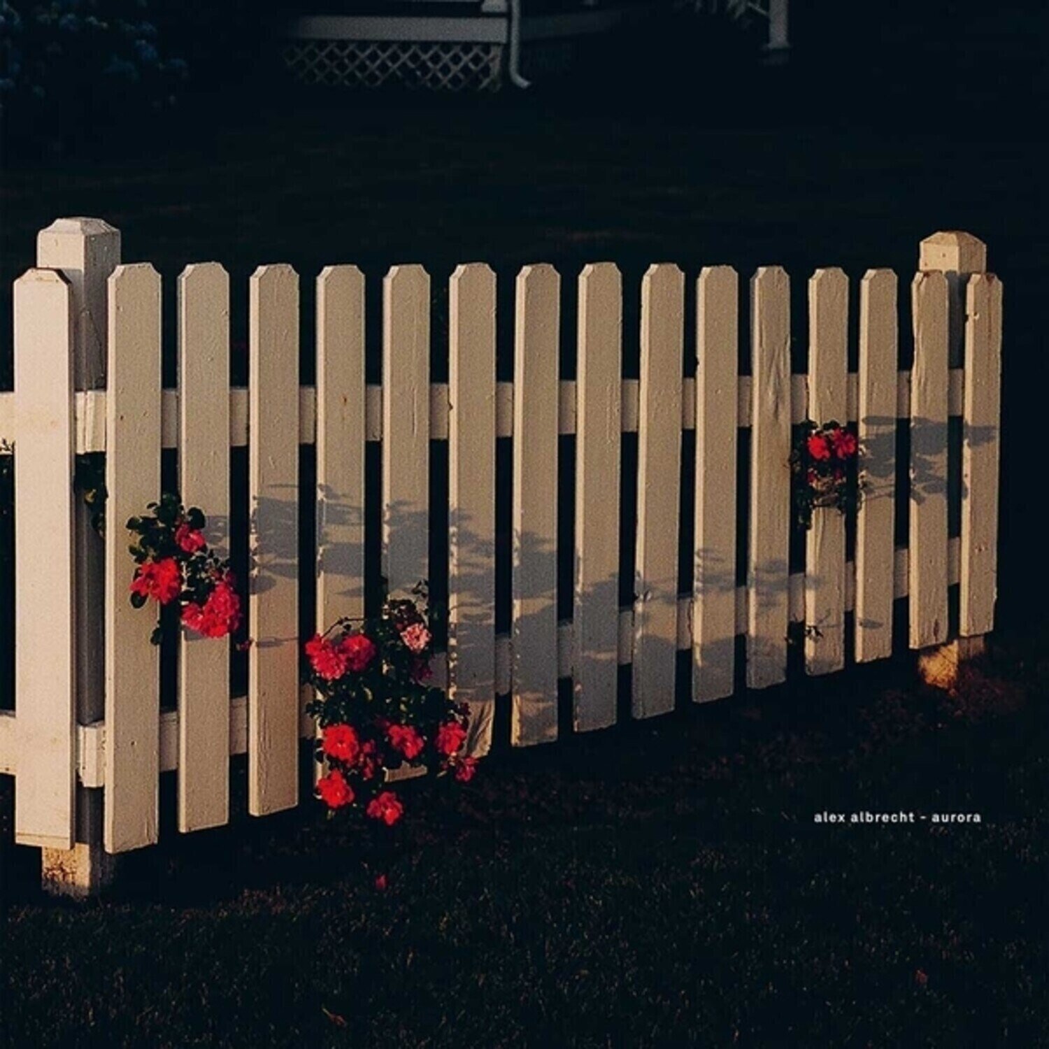 Schallplatte Alex Albrecht - Aurora (LP)