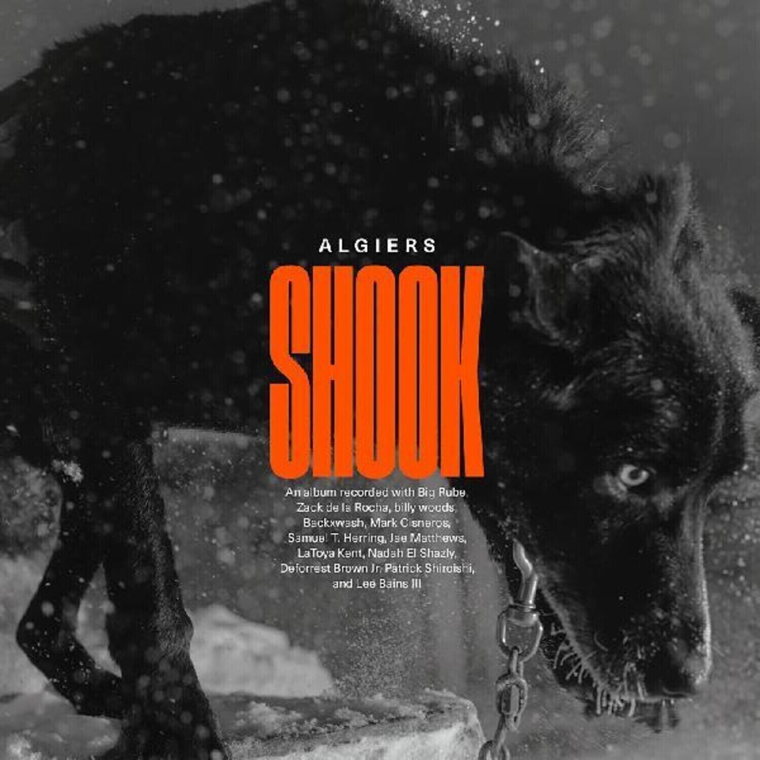 Disc de vinil Algiers - Shook (2 LP)