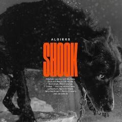 LP ploča Algiers - Shook (2 LP)