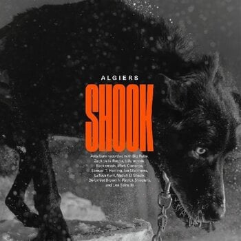 Disc de vinil Algiers - Shook (2 LP) - 1