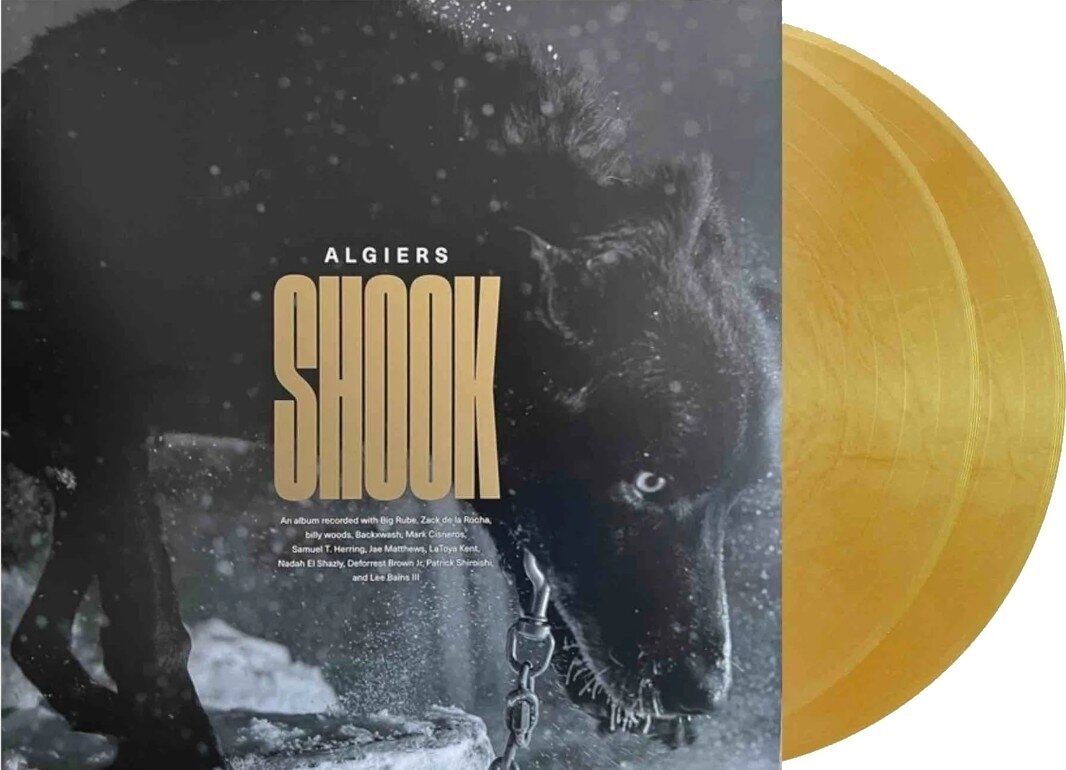 LP plošča Algiers - Shook (Limited Edition) (Gold Coloured) (2 LP)