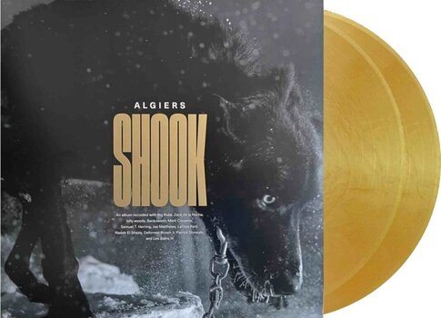 LP plošča Algiers - Shook (Limited Edition) (Gold Coloured) (2 LP) - 1