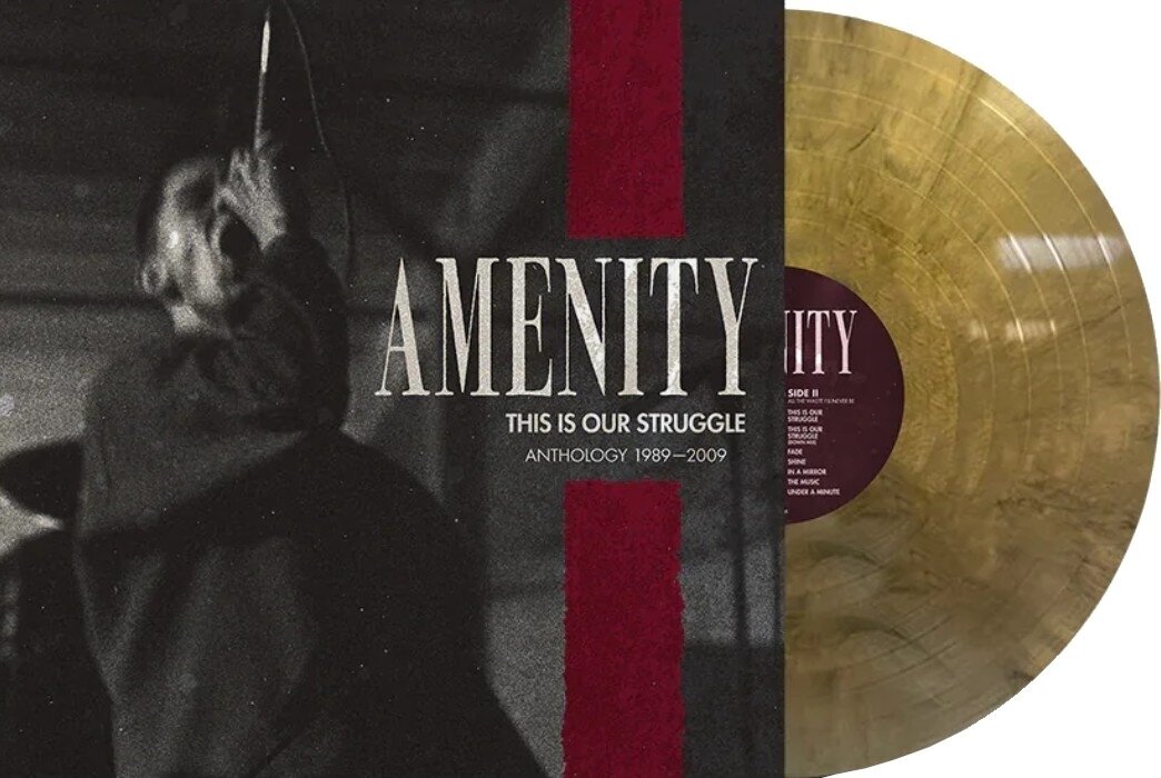 Disc de vinil Amenity - This Is Our Struggle (Gold Coloured) (LP)