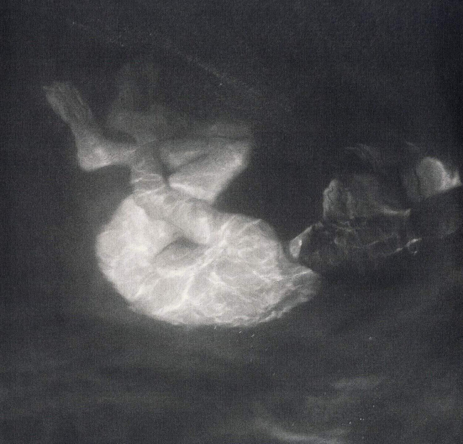 LP deska Alice Phoebe Lou - Glow (LP)