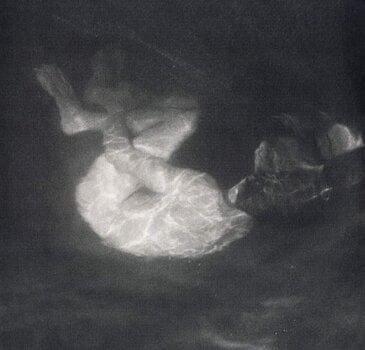 LP deska Alice Phoebe Lou - Glow (LP) - 1