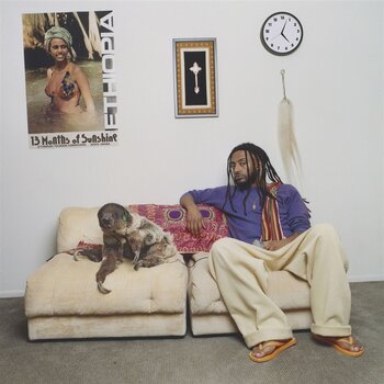 LP ploča Aminé - 13 Months Of Sunshine (2 LP) - 1