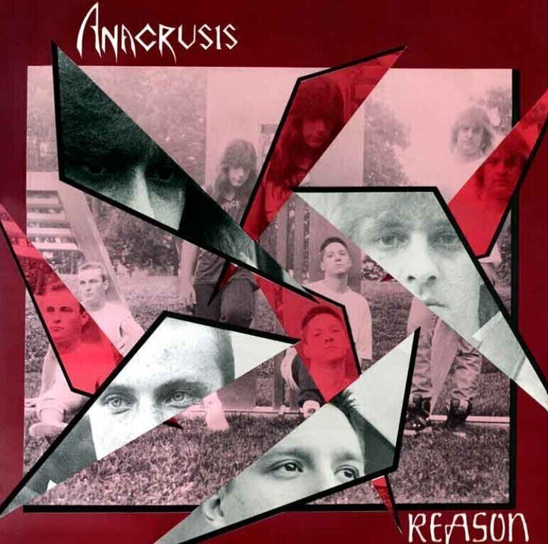 LP ploča Anacrusis - Reason (180 g) (2 LP)