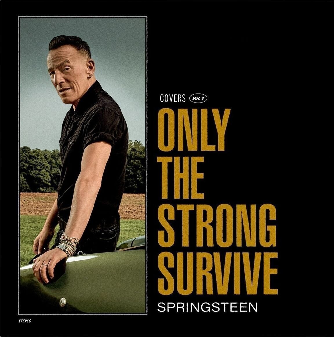 Disc de vinil Bruce Springsteen - Only The Strong Survive (Orbit Orange Coloured) (Limited Edition) (2 LP)