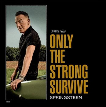 Disc de vinil Bruce Springsteen - Only The Strong Survive (Orbit Orange Coloured) (Limited Edition) (2 LP) - 1