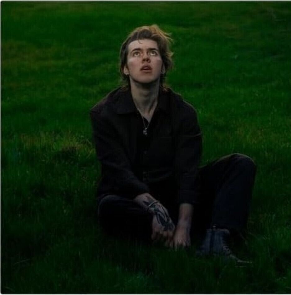 Vinüülplaat Livingston - A Hometown Odyssey (LP)