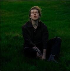 Vinüülplaat Livingston - A Hometown Odyssey (LP)