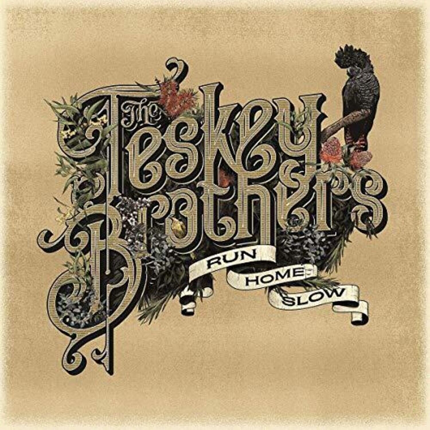 LP ploča The Teskey Brothers - Run Home Slow (LP)