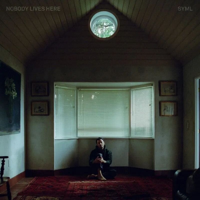 Disc de vinil Syml - Nobody Lives Here (Limited Edition) (Eco Friendly Red Coloured) (LP)