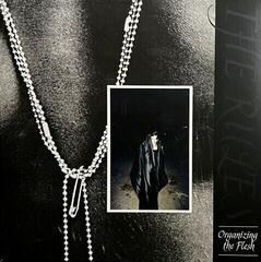 Schallplatte The Rules - Organizing The Flesh (Clear Coloured) (LP)