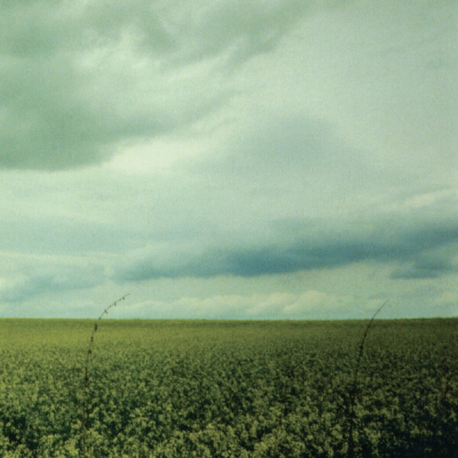 Disc de vinil Antarctica - 23:03 (45 RPM) (Limited Edition) (Coke Bottle Clear Coloured) (12'' EP)