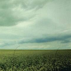 LP ploča Antarctica - 23:03 (45 RPM) (Limited Edition) (Coke Bottle Clear Coloured) (12'' EP)