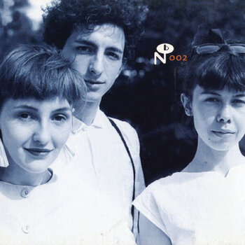 LP ploča Antena - Camino Del Sol (Gold Camino Coloured) (2 LP) - 1