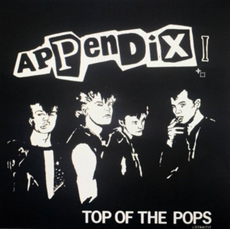 LP ploča Appendix - Top Of The Pops (LP)