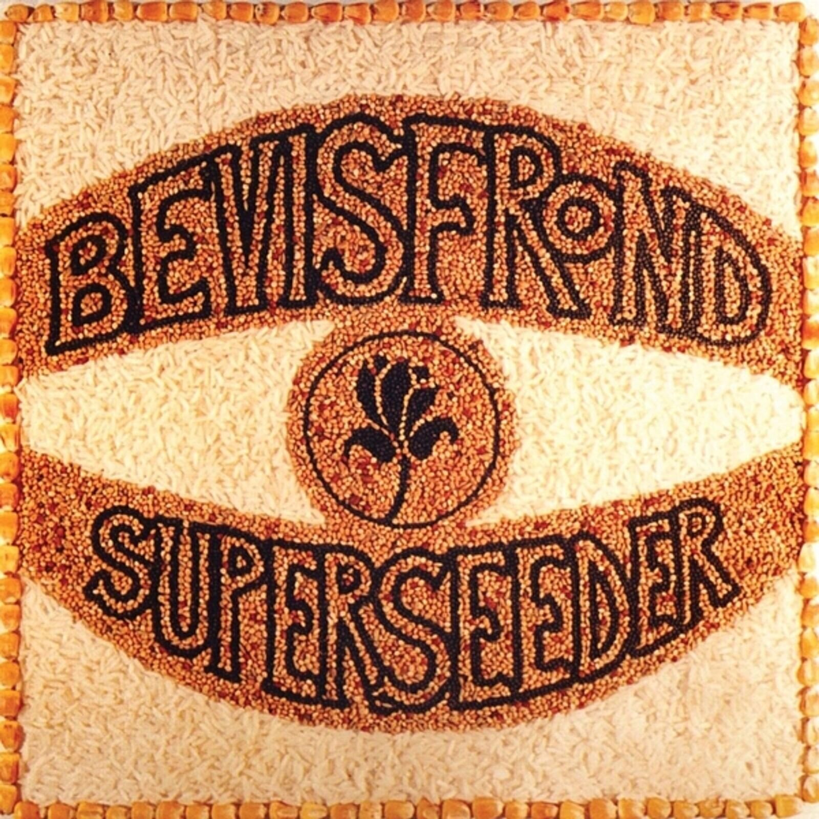 Vinüülplaat The Bevis Frond - Superseeder (Reissue) (2 LP)