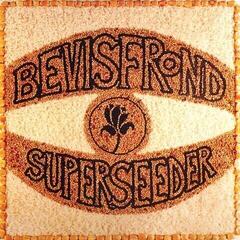 Disco de vinil The Bevis Frond - Superseeder (Reissue) (2 LP)