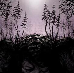 LP ploča Birds Of Passage - This Kindly Slumber (180g) (LP)