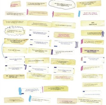 LP ploča Bitchin Bajas & Bonnie Prince Billy - Epic Jammers And Fortunate Little Ditties (2 LP) - 1