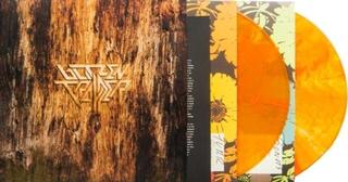 LP ploča Blitzen Trapper - Furr (Reissue) (Clear/Gold Swirl Coloured) (2 LP)