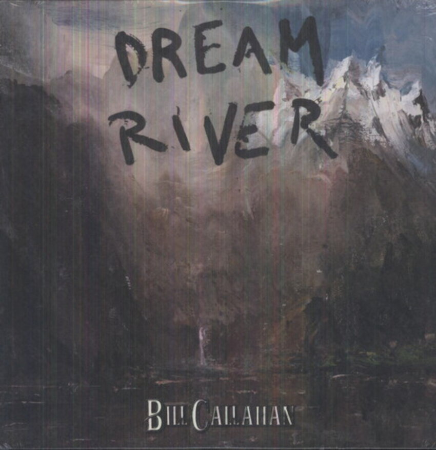 Disco de vinil Bill Callahan - Dream River (LP)