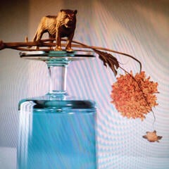 LP ploča Beirut - Gallipoli (LP)