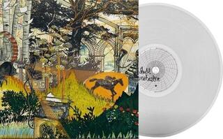 Vinüülplaat Bell Orchestre - Recording A Tape The Colour Of The Light (Limited Edition) (Clear Coloured) (LP)