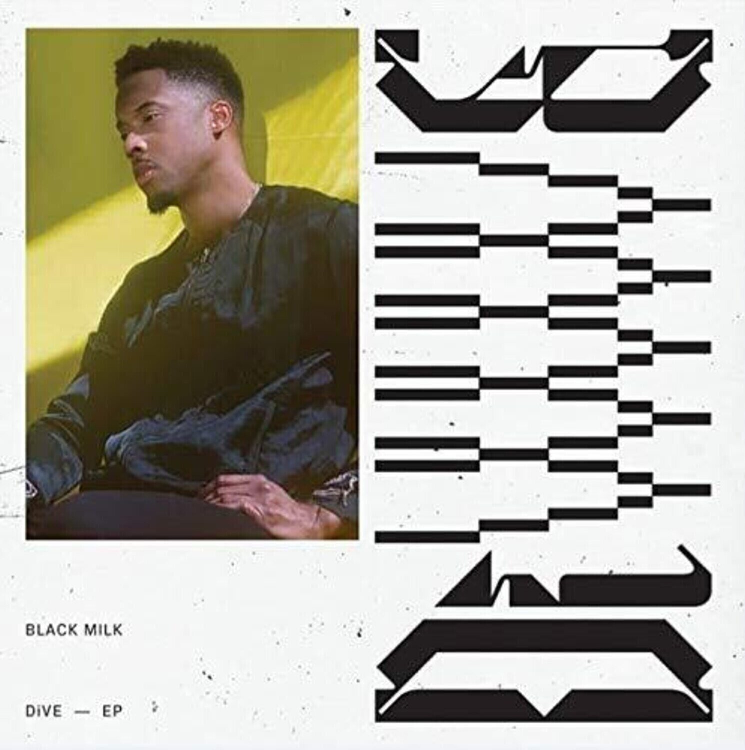 Vinyl Record Black Milk - Dive (LP)