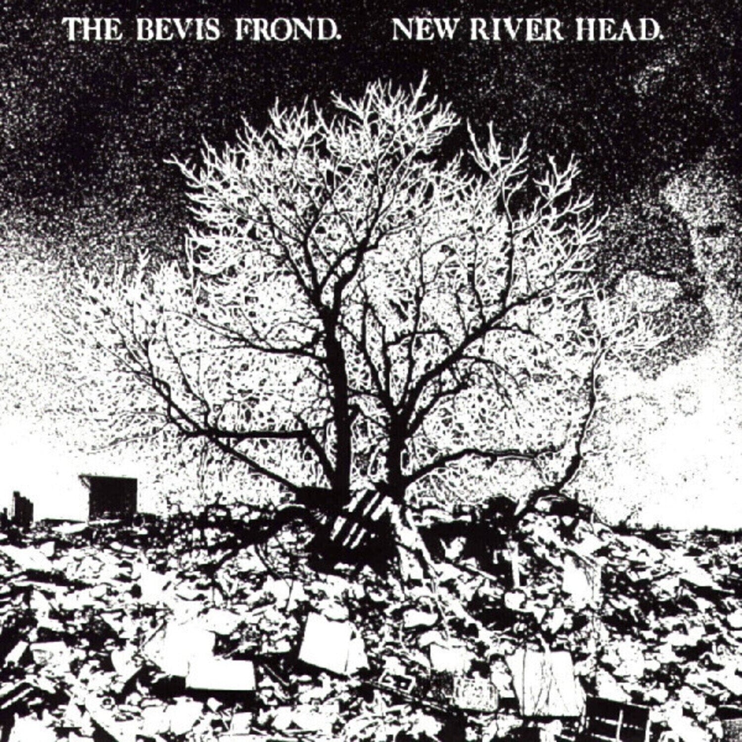 Disco de vinil The Bevis Frond - New River Head (Reissue) (2 LP)