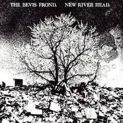 Disco de vinil The Bevis Frond - New River Head (Reissue) (2 LP)