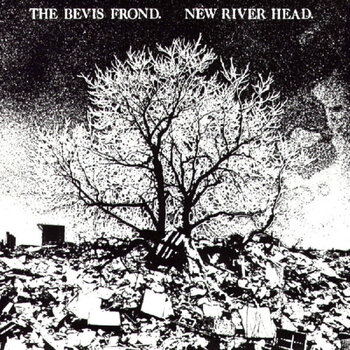 Disco de vinil The Bevis Frond - New River Head (Reissue) (2 LP) - 1