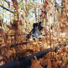 Hanglemez Billy Woods - Golliwog (2 LP)