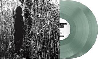 Hanglemez Billy Woods - Today, I Wrote Nothing (Reissue) (Coke Bottle Clear Coloured) (10th Anniversary) (2 LP)