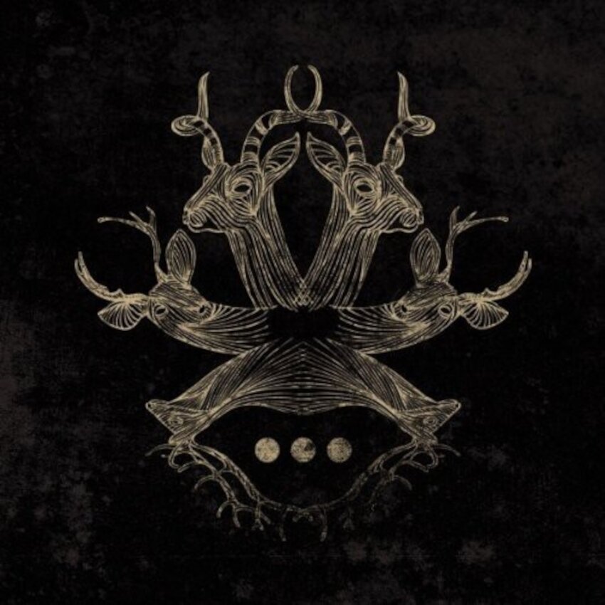 LP plošča Blueneck - Repetitions (Limited Edition) (180 g) (LP)