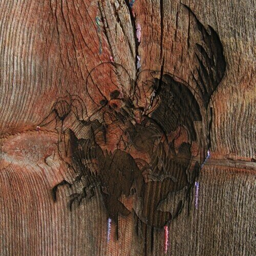 LP ploča Avey Tare Slasher Flicks - Enter The Slasher House (180 g) (2 LP)