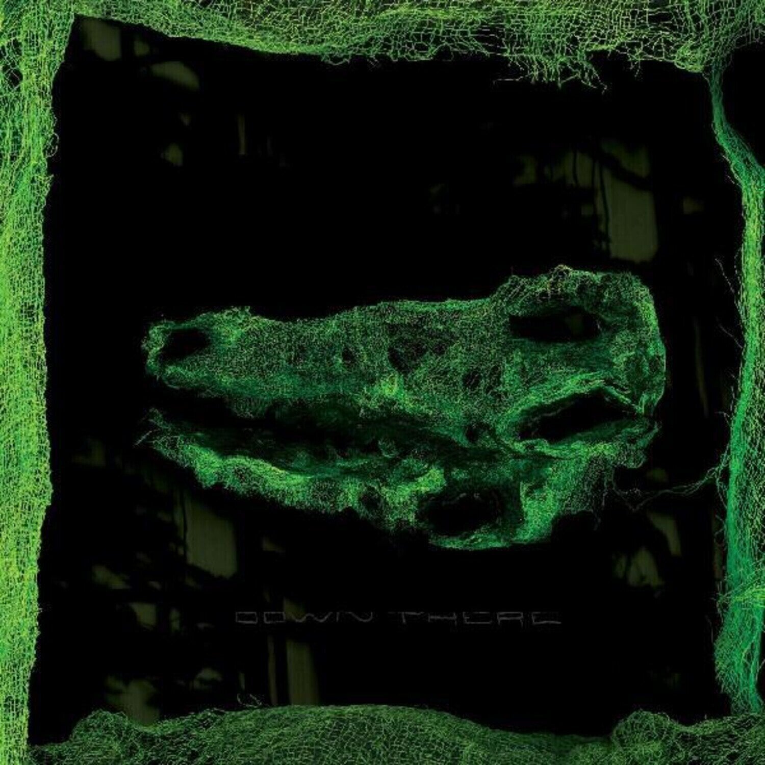 LP deska Avey Tare - Down There (Reissue) (LP)