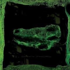 Vinüülplaat Avey Tare - Down There (Reissue) (LP)