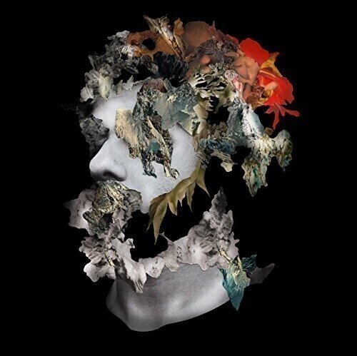 LP ploča Ash Koosha - I AKA I (Clear Coloured) (180 g) (LP)