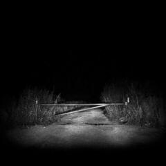 LP ploča The Body - I Have Fought Against It, But I Can’t Any Longer. (Gatefold Sleeve) (Metallic Gold Coloured) (2 LP)