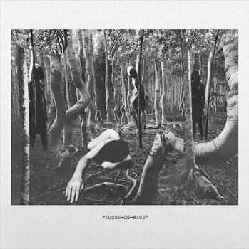 LP ploča Bosse-De-Nage - Bosse-De-Nage (45 RPM) (Silver Coloured) (2 LP) - 1