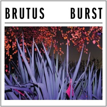 Vinyl Record Brutus - Burst (LP) - 1