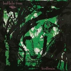 LP plošča Buffalo Tom - Birdbrain (Limited Edition) (Mint Green Coloured) (LP)