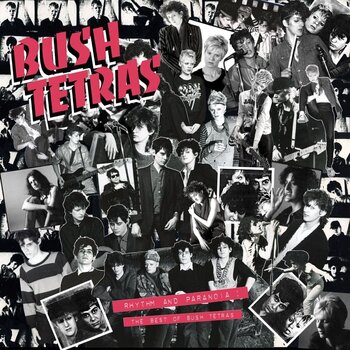 LP ploča Bush Tetras - Rhythm and Paranoia: The Best of Bush Tetras (Box Set) (3 LP) - 1