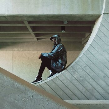 Vinylplade Busy Signal - Parts Of The Puzzle (LP) - 1