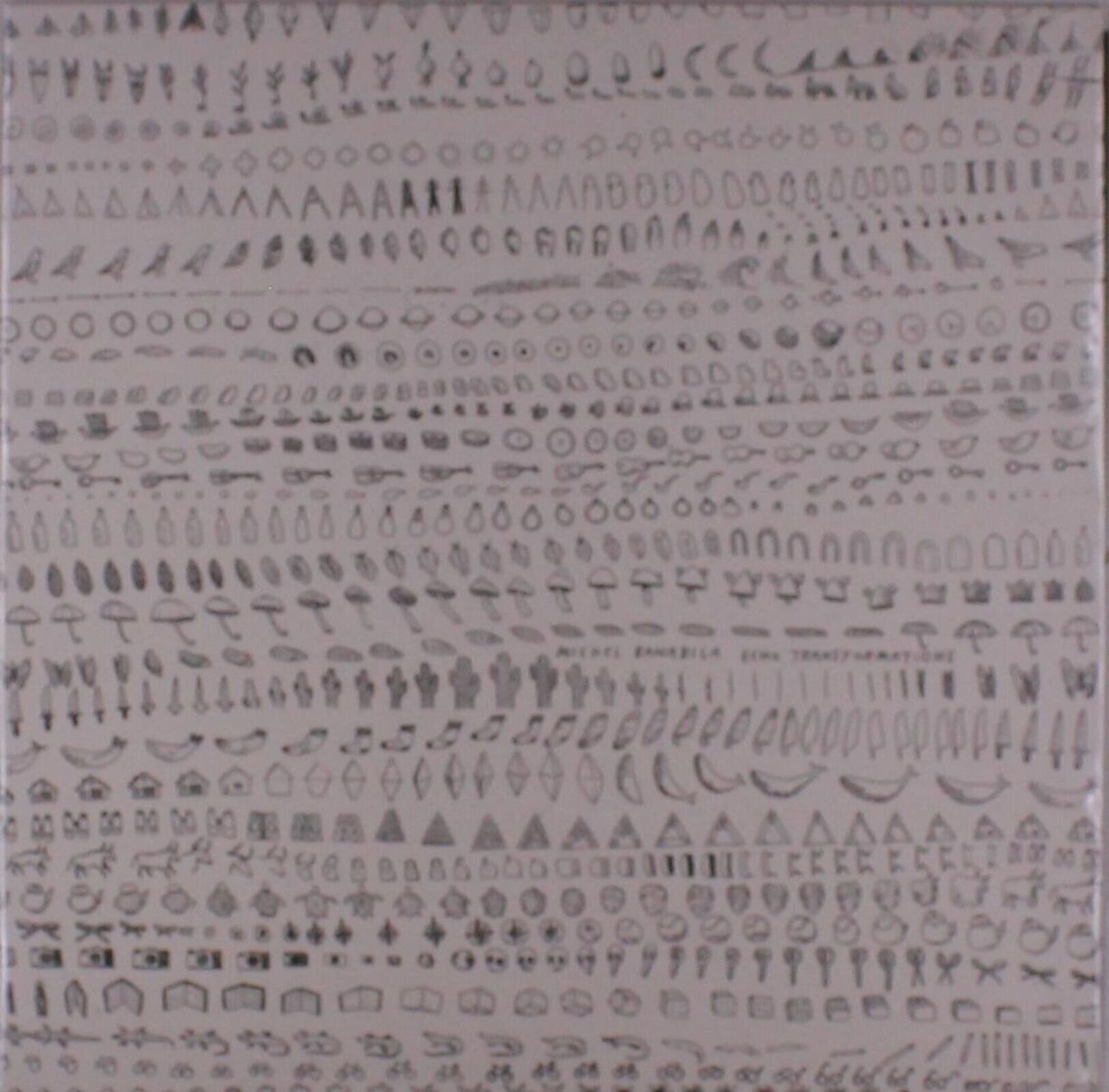 Vinylplate Michel Banabila Echo Transformations (LP)