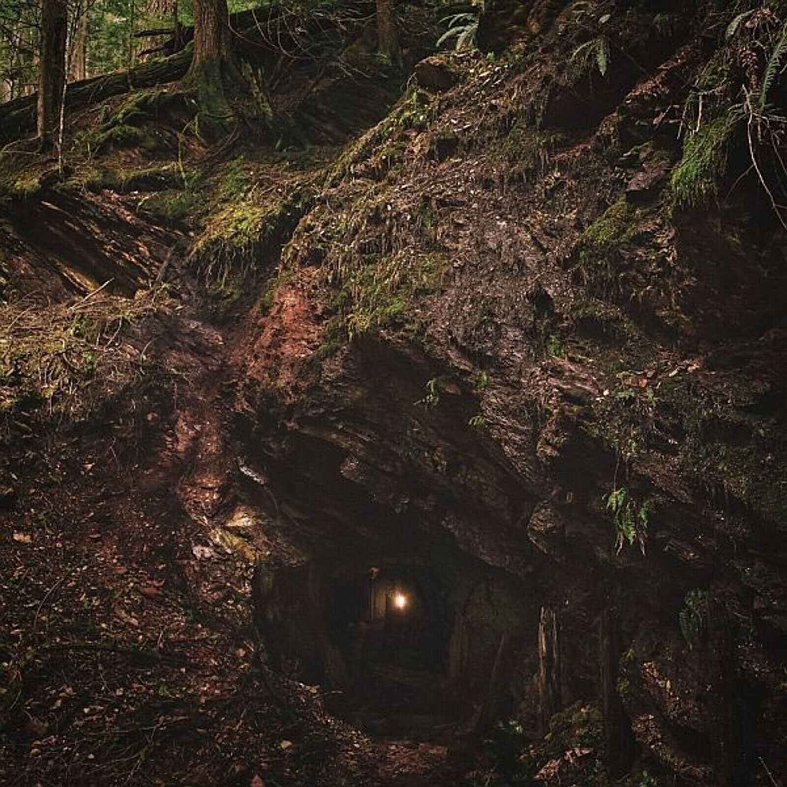 LP ploča Baptists - Bushcraft (LP)