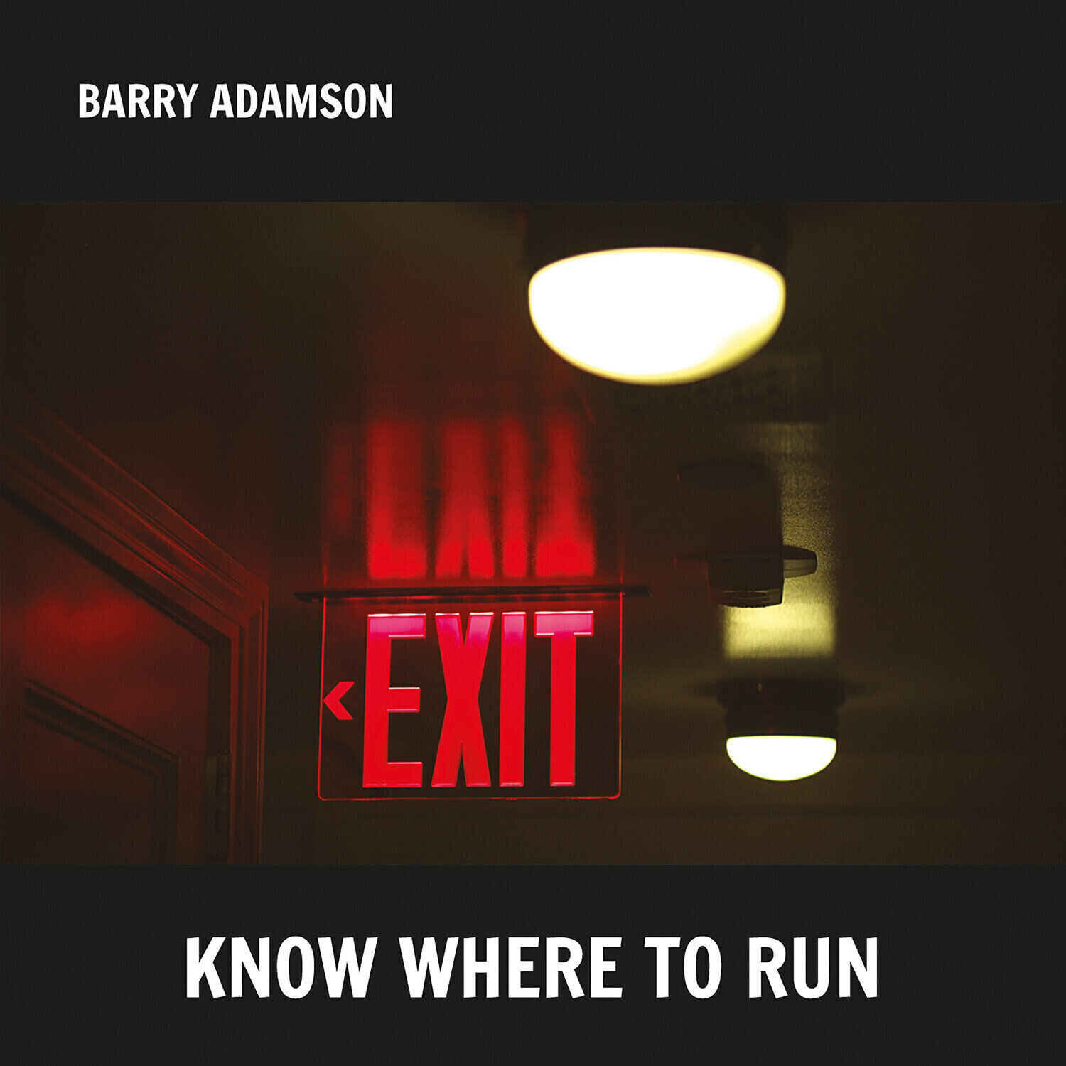 LP ploča Barry Adamson - Know Where To Run (Limited Edition) (Silver Coloured) (LP)